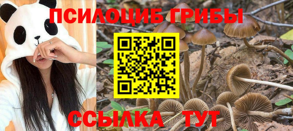 Осинники  где продают   Вход с VPN  Галлюциногенные грибы MAGIC MUSHROOMS  Псилоцибиновые грибы мухоморы 