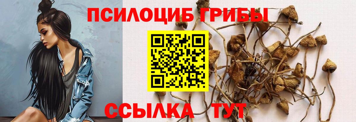 Галлюциногенные грибы MAGIC MUSHROOMS Осинники